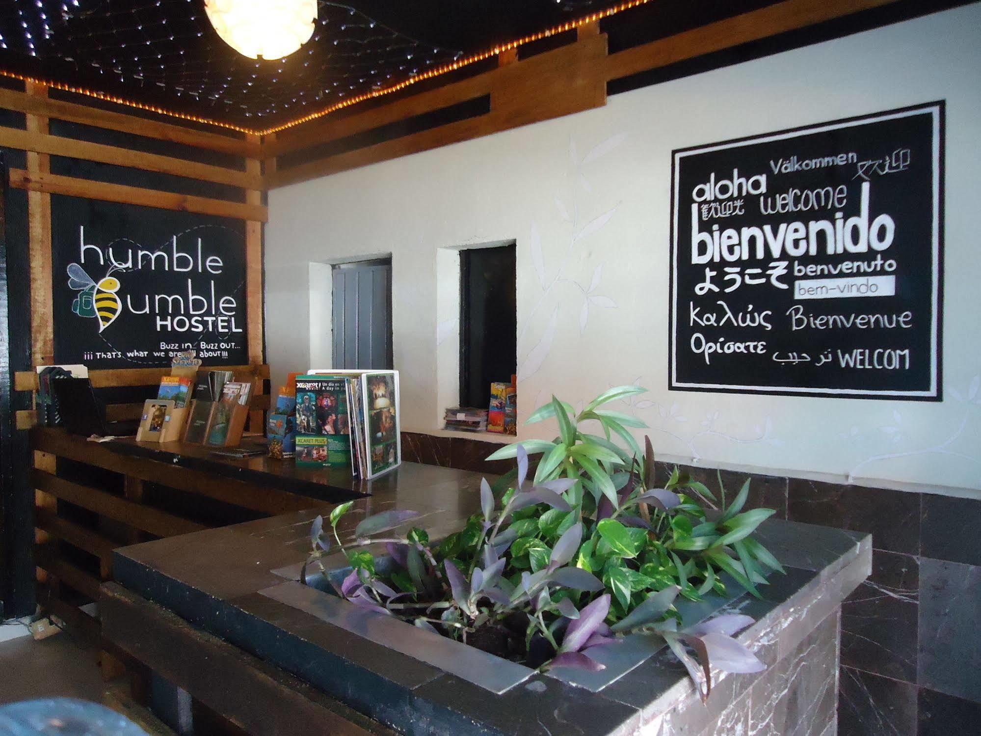 Humble Bumble Hostel Playa del Carmen Kültér fotó