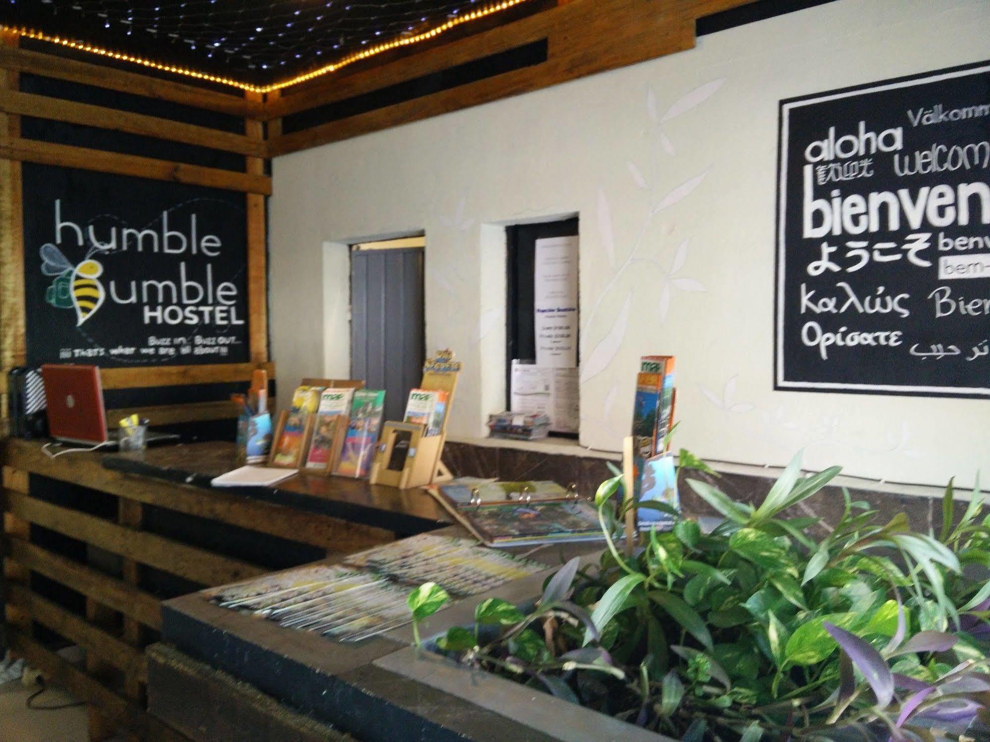 Humble Bumble Hostel Playa del Carmen Kültér fotó