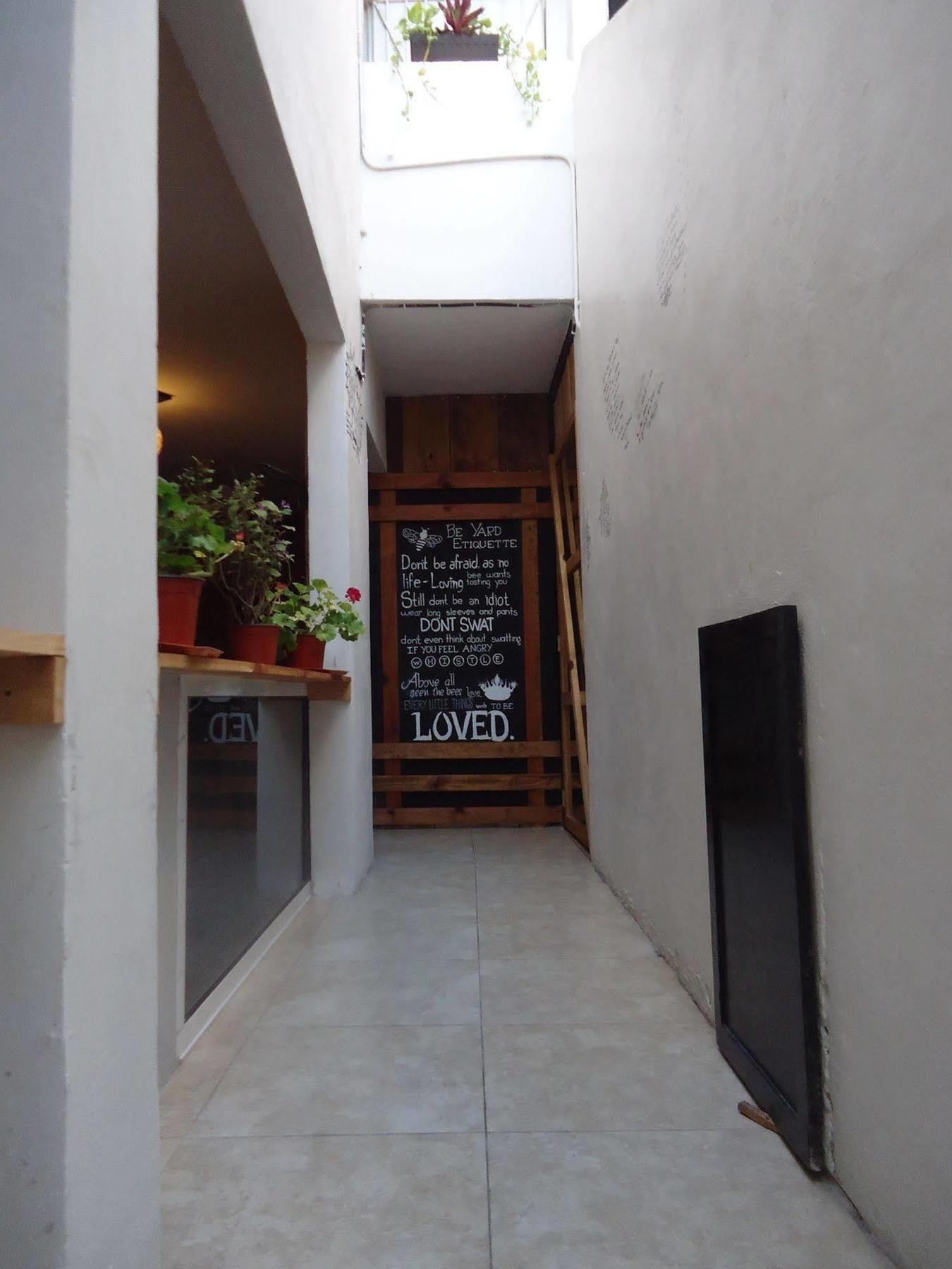 Humble Bumble Hostel Playa del Carmen Kültér fotó