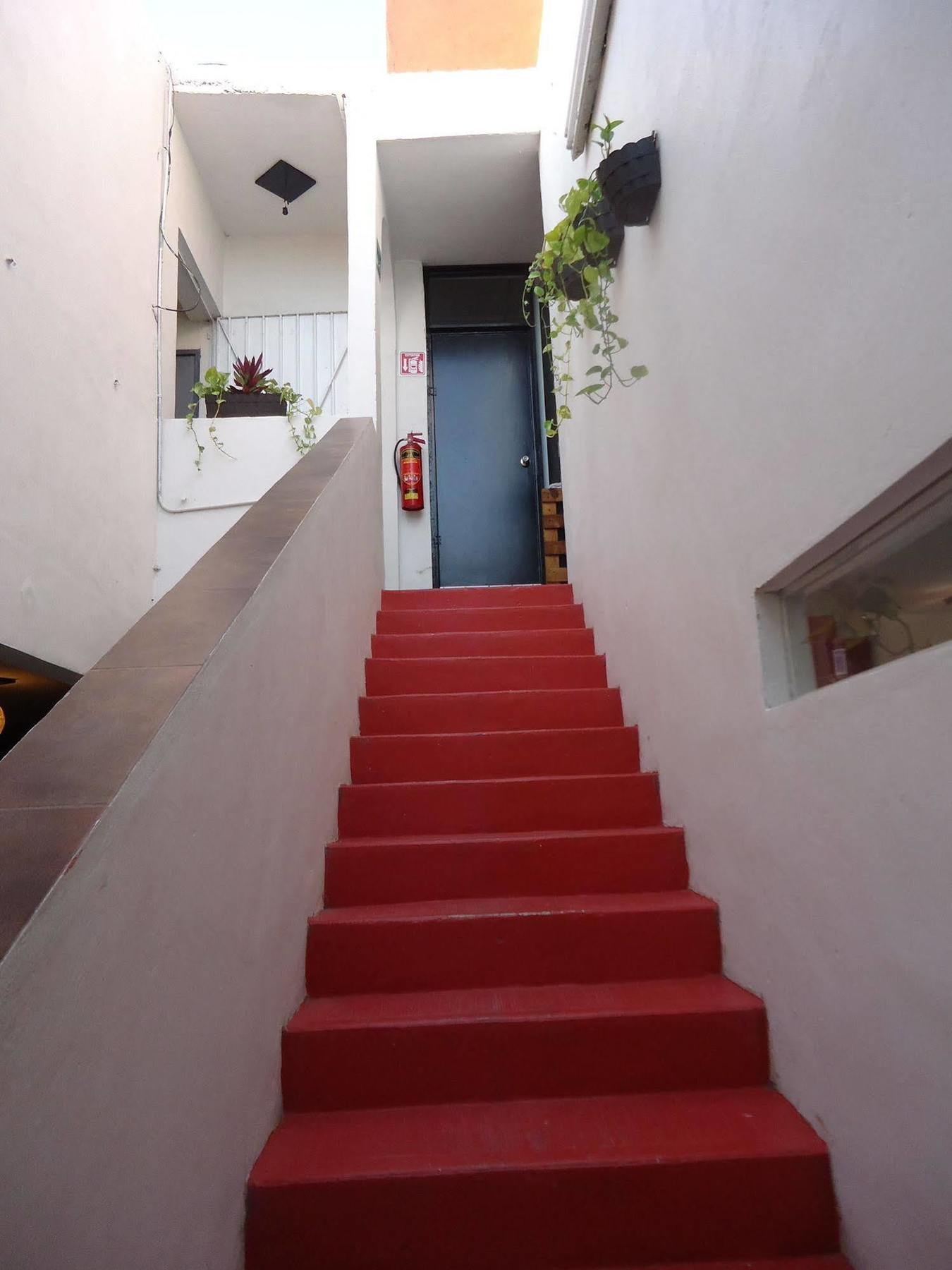 Humble Bumble Hostel Playa del Carmen Kültér fotó